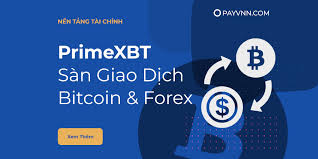 Experience the Future of Trading with PrimeXBT App